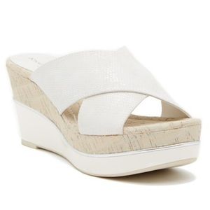 Donald Pliner “Dani” Platform Wedge Sandals